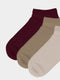 Women's Plain Booties Socks 3-Pack